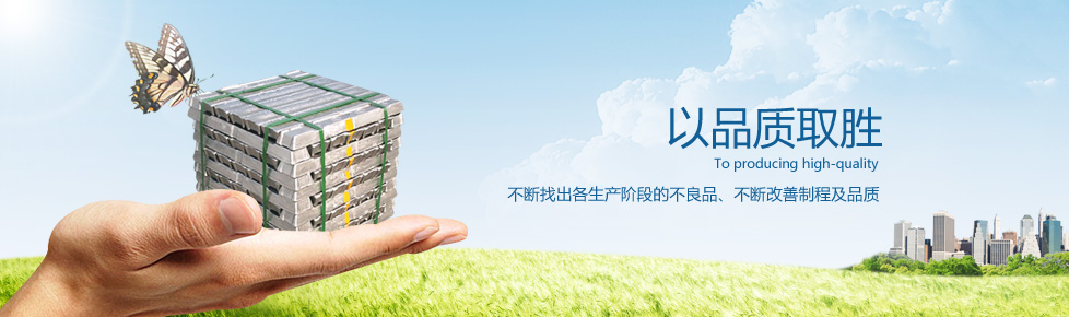 南京溧水金磁电子器件厂,南京丰旭电子科技有限公司